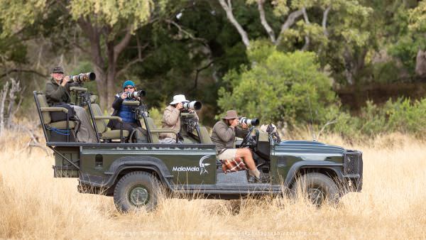 Custom Photographic Safaris with WILD4 Transport 1