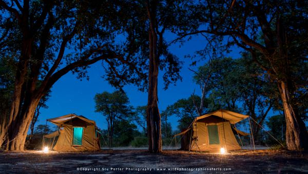 Custom Photographic Safaris with WILD4 Accommodation 1