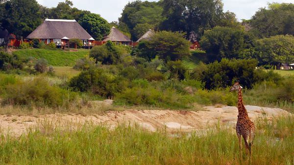 Chobe River & MalaMala Photo Safari - August 2023 Accommodation 1