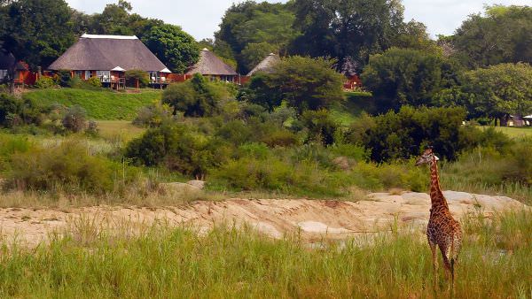 Chobe River & MalaMala Photo Safari - September 2024 Accommodation 1