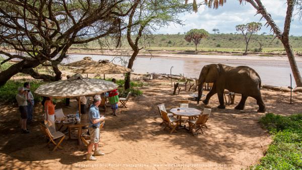 Custom Photographic Safaris with WILD4 Accommodation 1