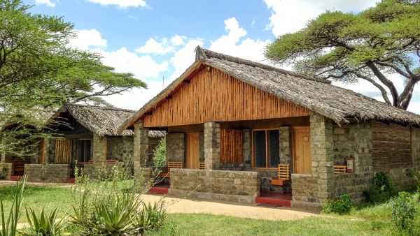 Big Cats of the Serengeti Photo Tour - Oct 2024 Accommodation 1