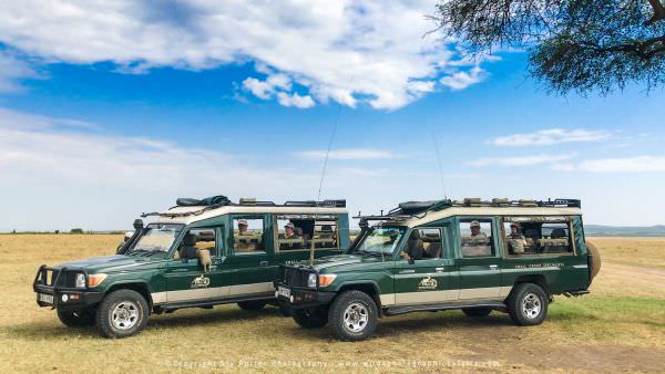 Custom Photographic Safaris with WILD4 Transport 1