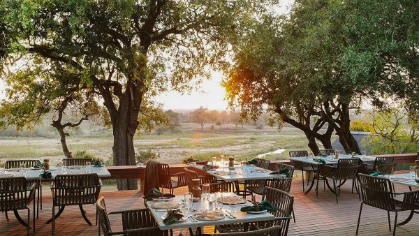 Mashatu, MalaMala & Kruger Hotel - Wildlife Filming Safari - Nov 2027 Accommodation 1