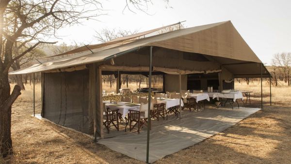 Big Cats of the Serengeti Photo Tour - Oct 2024 Accommodation 1