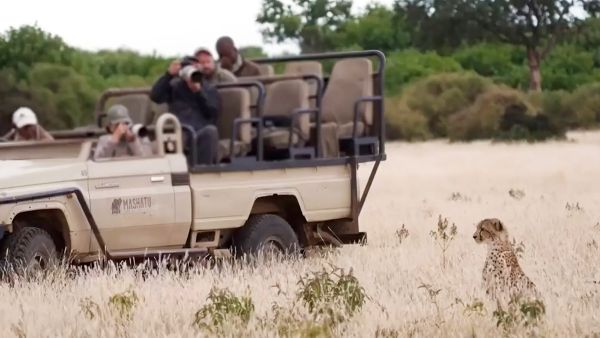 Mashatu, MalaMala & Kruger Hotel - Wildlife Filming Safari - Nov 2027 Transport 1