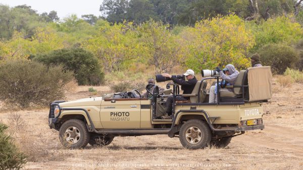 Big Cats of Africa - the ultimate Photo Safari: Mashatu and MalaMala - Aug/Sep 2026 Transport 1