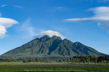 Sabinyo Mountain in Volcanoes National Park. Copyright Stu Porter Rwanda Photo Safaris. 