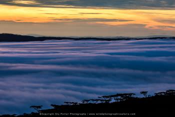 Thick blanket of cloud inside the Ngorongoro crater Tanzania Small group Photographic tours