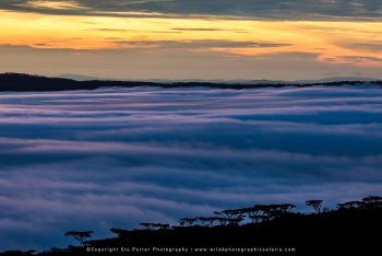Ngorongoro Crater copyright Stu Porter Photo