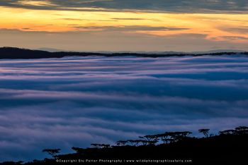 Ngorongoro Crater copyright Stu Porter Photo