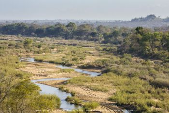 View of the Sand River at MalaMala