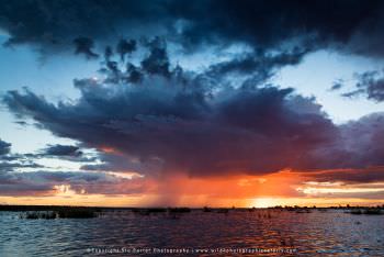 Sunset over Chobe River. Copyright Stu Porter Photography