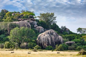 Moru Kopjes in the Serengeti Tanzania. Copyright Stu Porter Photography