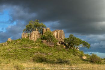 Dramatic Skies – Gol Kopjes Green Season Safari