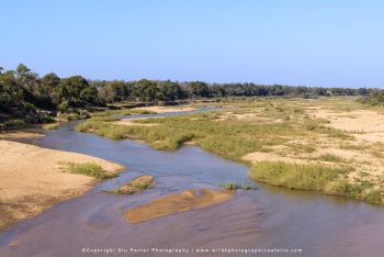 Sand River landscape in MalaMala Game Reserve photographed on safari