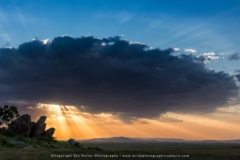 Dramatic sunset over Ndutu plains during Tanzania photography safari with Wild4 and Stu Porter