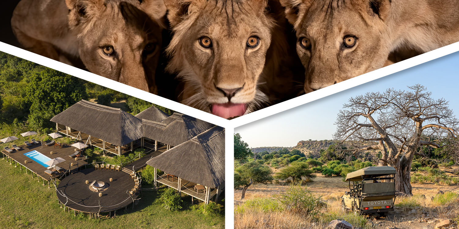 Botswana, Kenya & Zambia - Photo Hides & Private Game Drives - June 2027