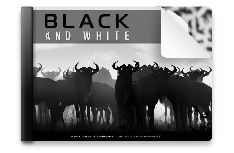 How to make better black & whites | By Stu Porter