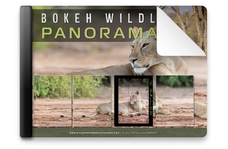 How to make a Bokeh Wildlife Panorama | By Stu Porter