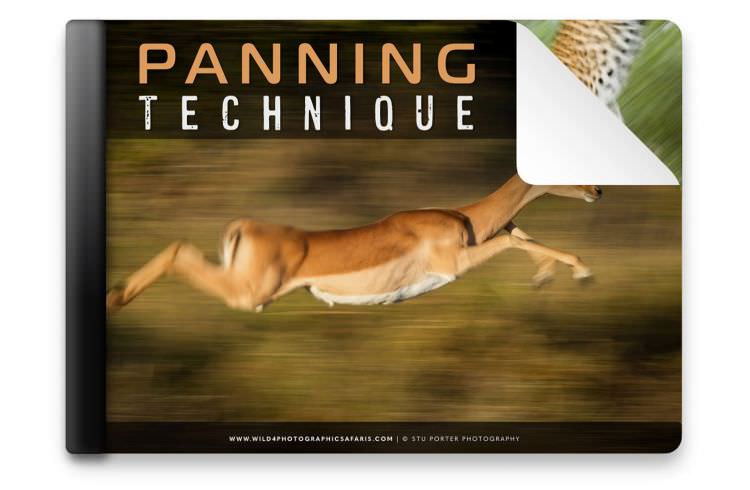 How to perfect the Panning Technique | By Stu Porter