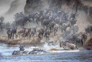 Great migration photo safari, Kenya, WILD4 photo